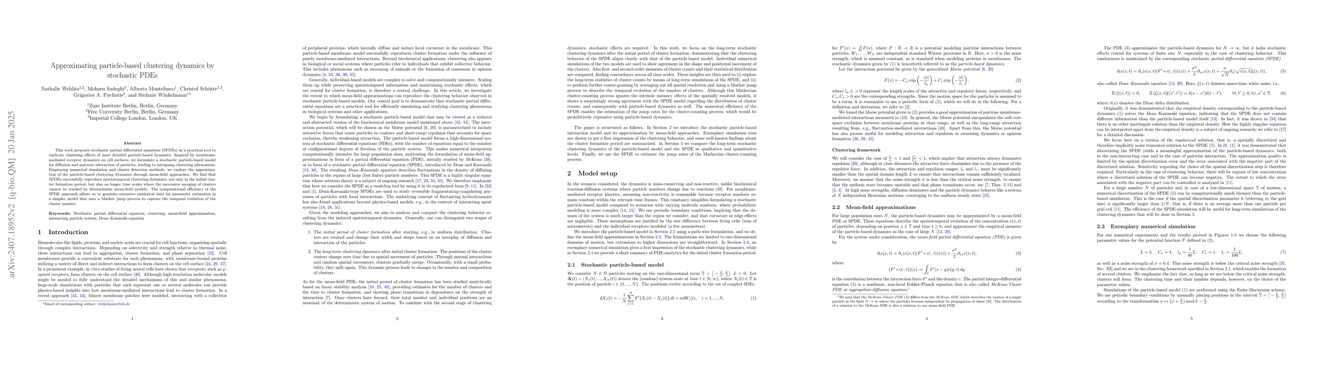 Thumbnail for Approximating particle-based clustering dynamics by stochastic PDEs