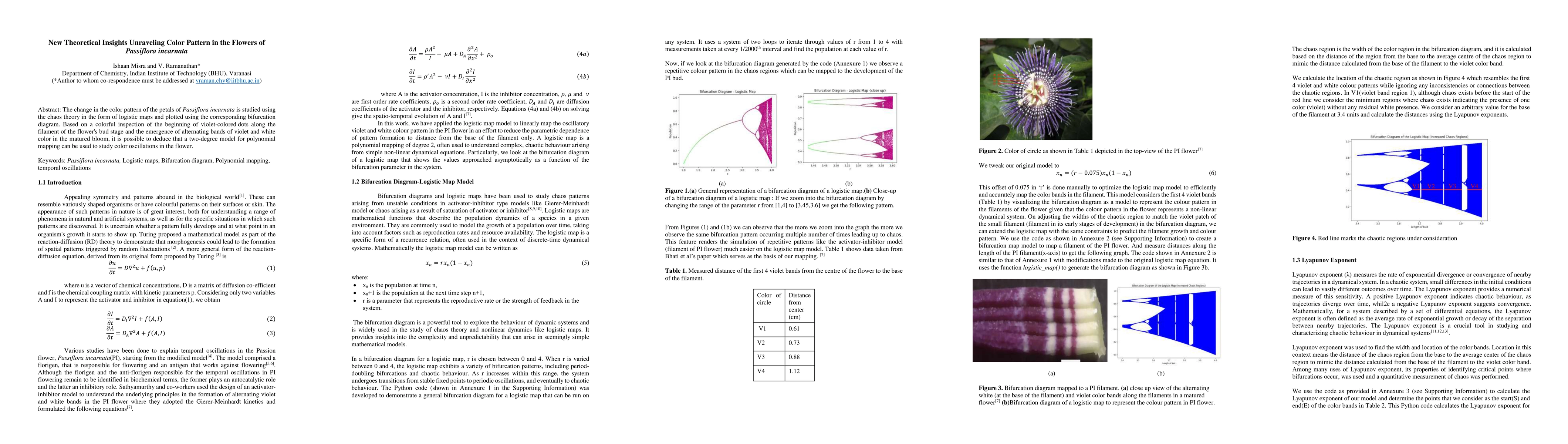 Thumbnail for New Theoretical Insights Unraveling Color Pattern in the Flowers of
  Passiflora incarnata