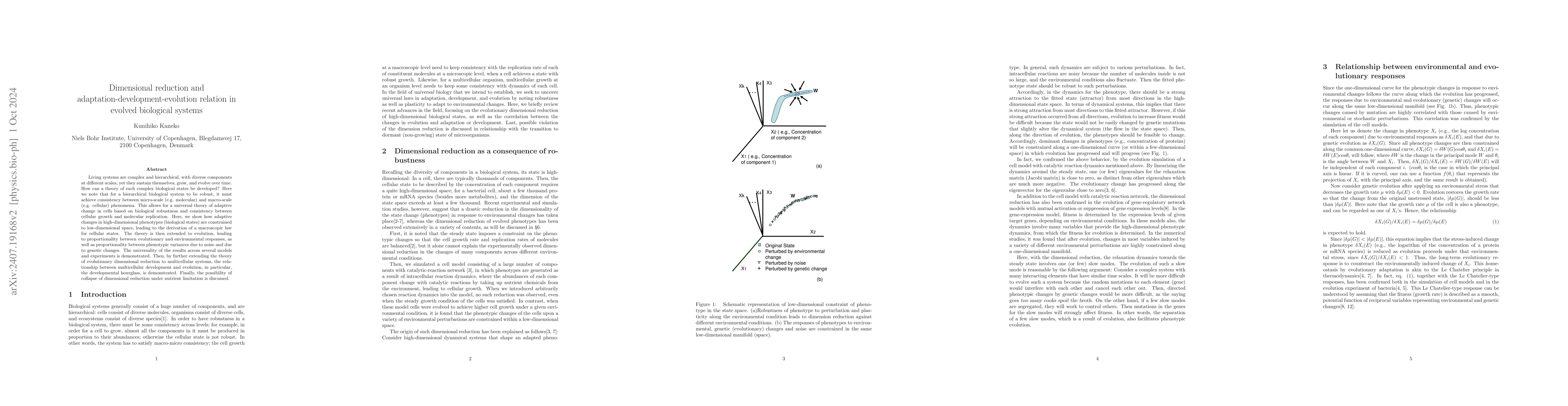 Thumbnail for Dimensional reduction and adaptation-development-evolution relation in
  evolved biological systems