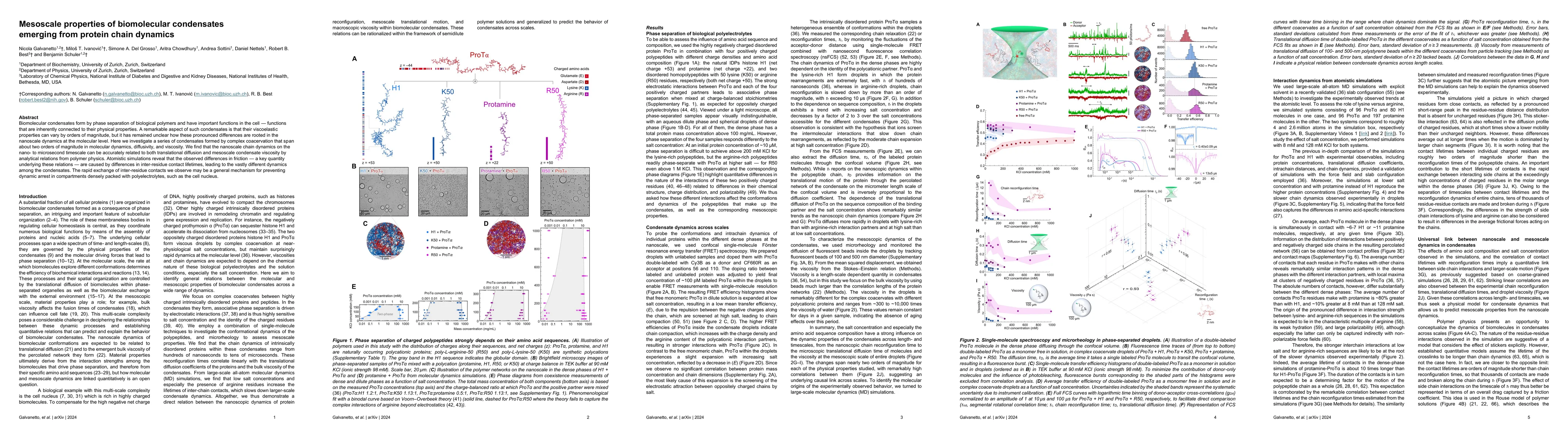 Thumbnail for Mesoscale properties of biomolecular condensates emerging from protein
  chain dynamics