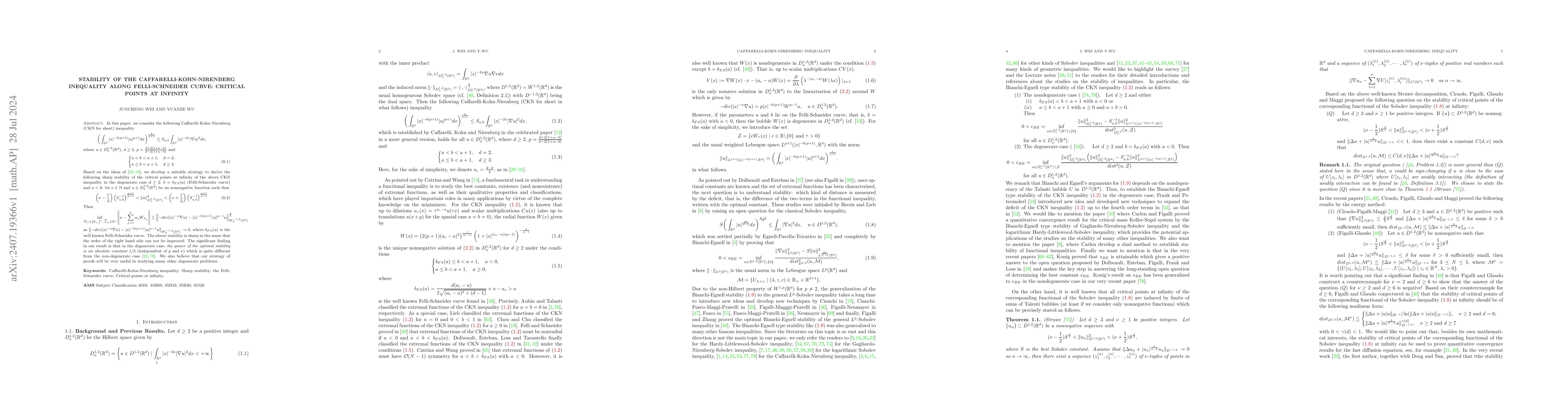 Thumbnail for Stability of the Caffarelli-Kohn-Nirenberg inequality along
  Felli-Schneider curve: critical points at infinity