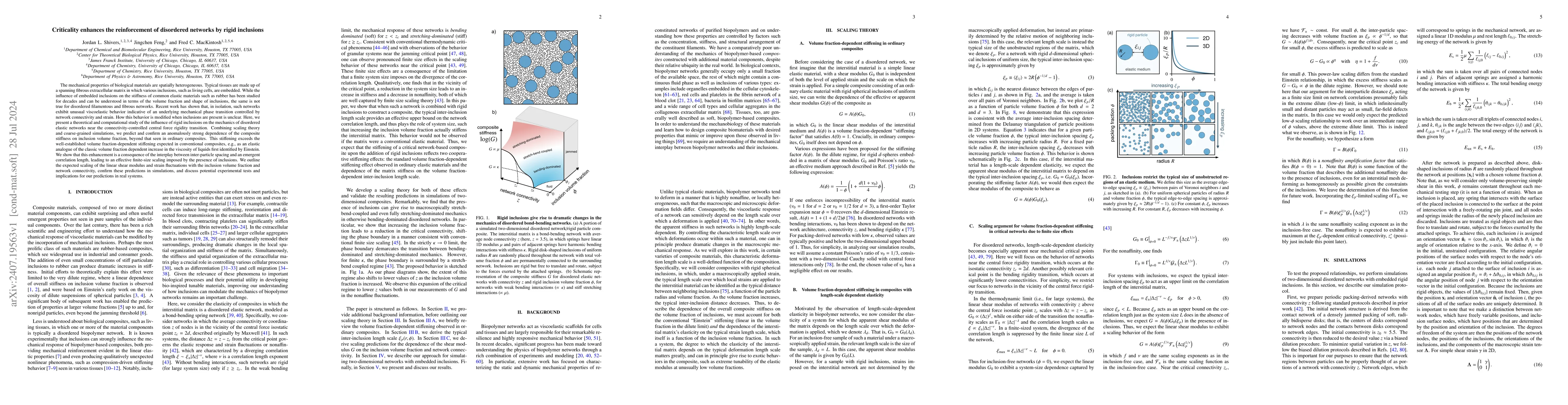 Thumbnail for Criticality enhances the reinforcement of disordered networks by rigid
  inclusions