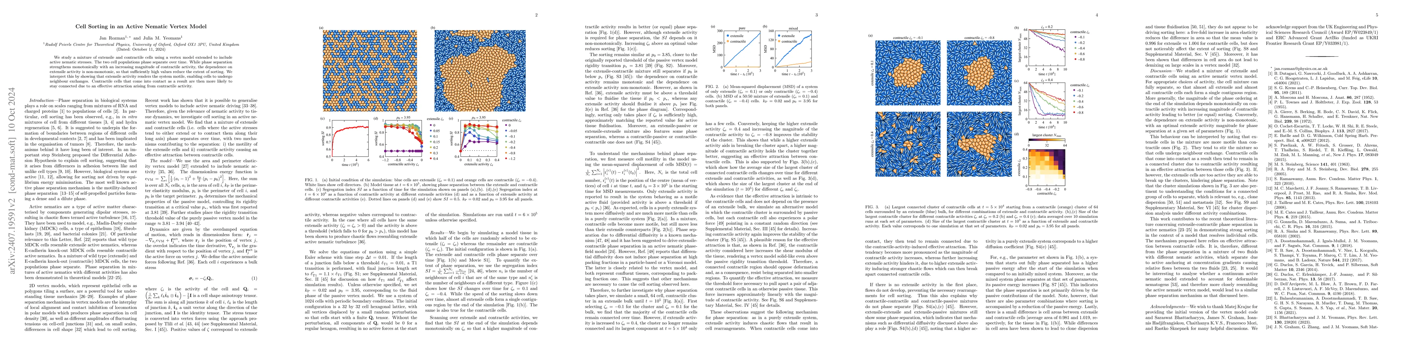 Thumbnail for Cell Sorting in an Active Nematic Vertex Model