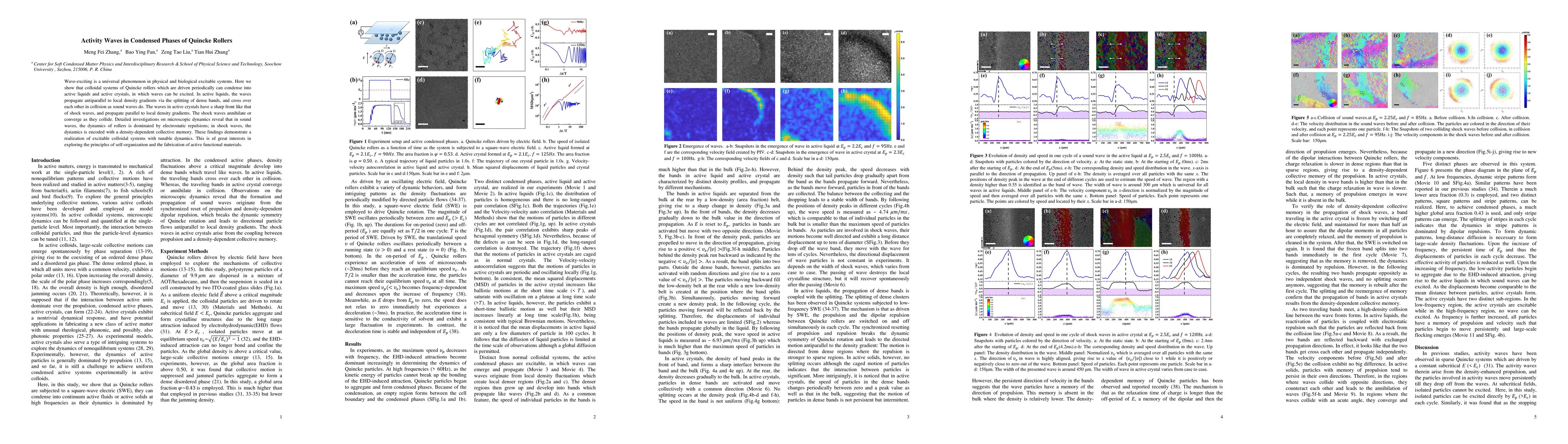 Thumbnail for Activity Waves in Condensed Phases of Quincke Rollers