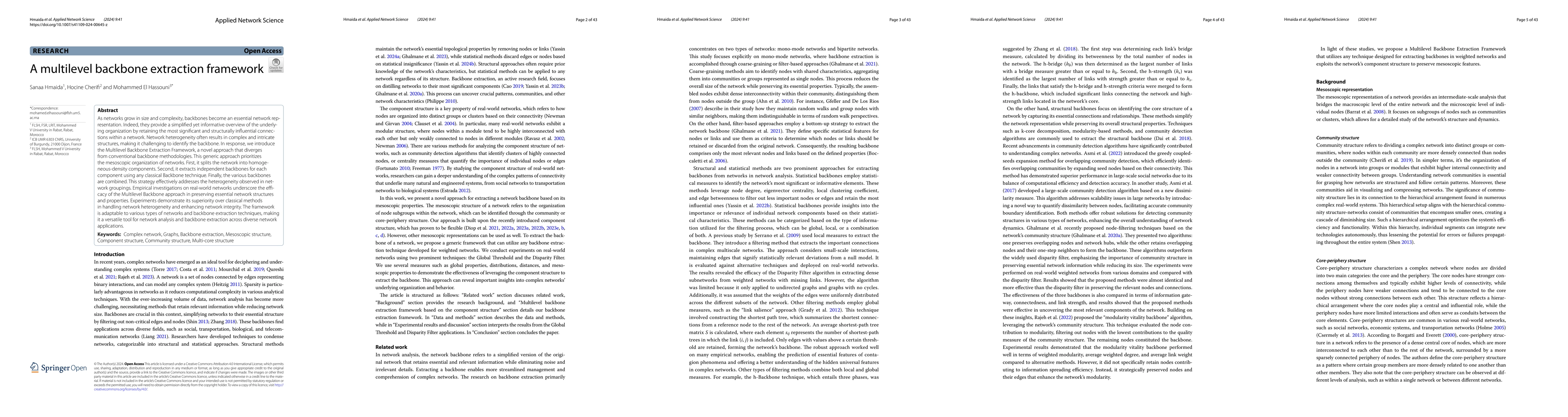 Thumbnail for A multilevel backbone extraction framework