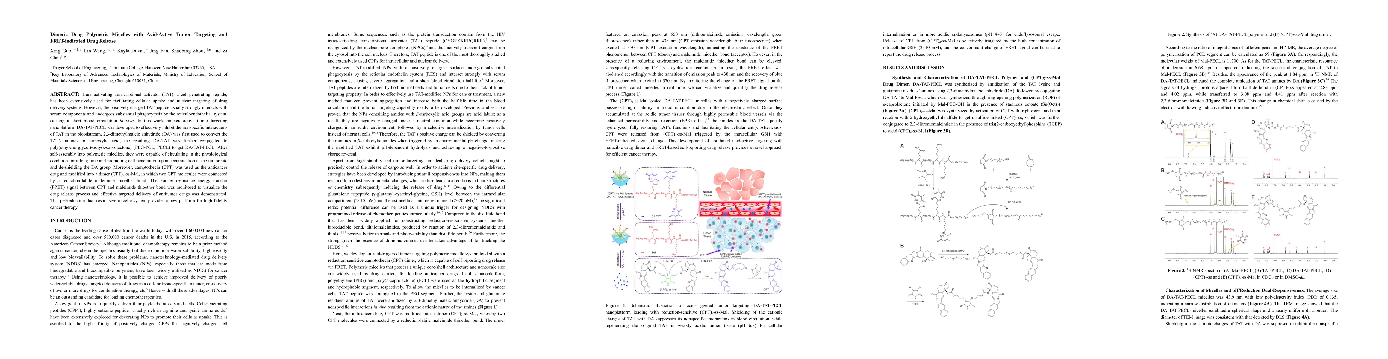 Thumbnail for Dimeric Drug Polymeric Micelles with Acid-Active Tumor Targeting and
  FRET-indicated Drug Release