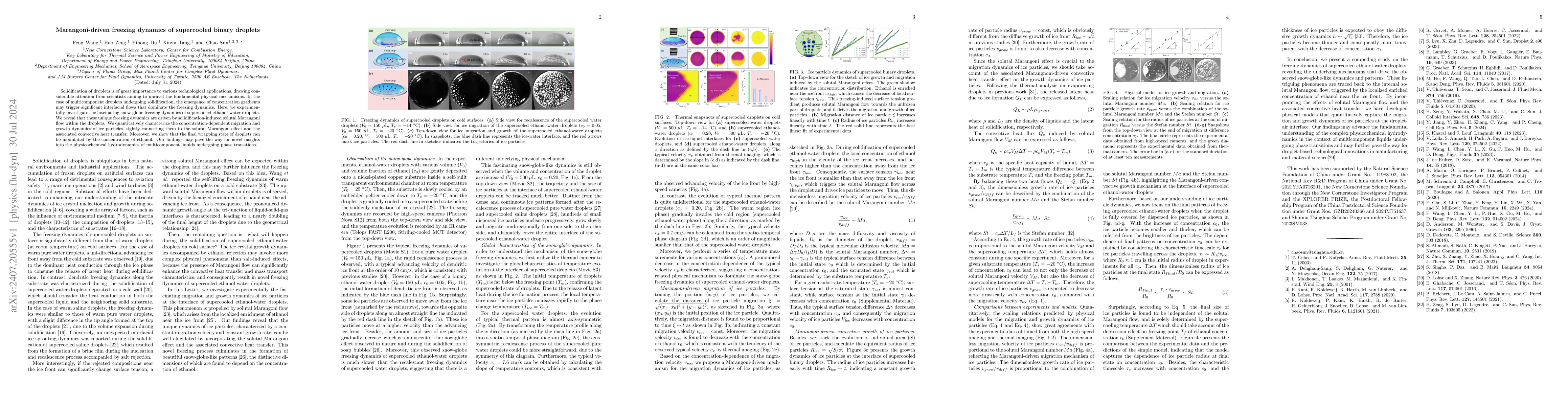 Thumbnail for Marangoni-driven freezing dynamics of supercooled binary droplets