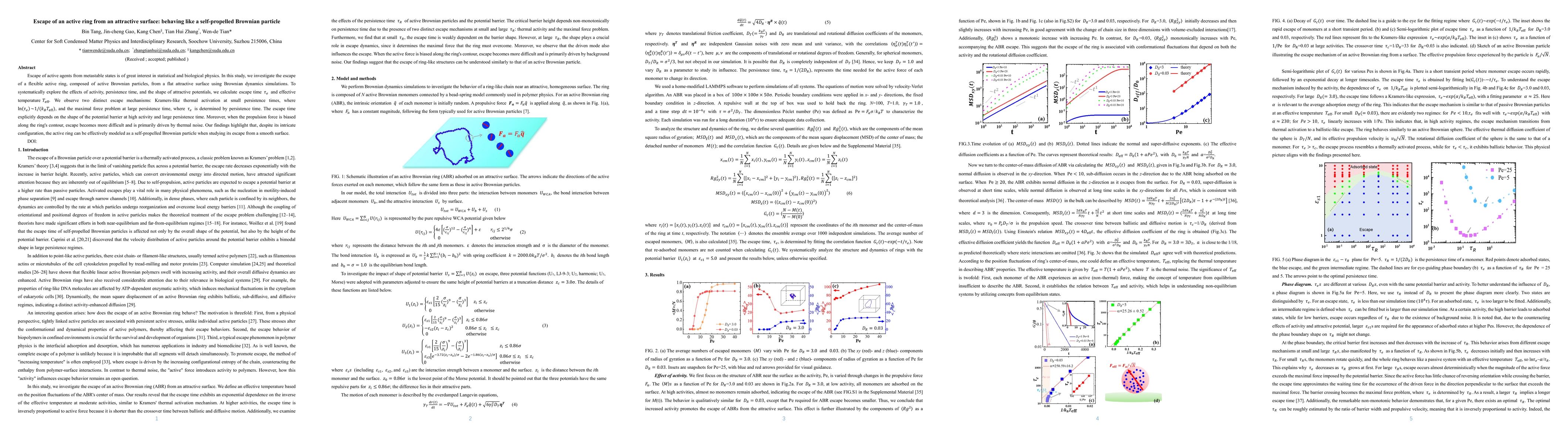 Thumbnail for Escape of an Active Ring from an Attractive Surface: Behaving Like a
  Self-Propelled Brownian Particle