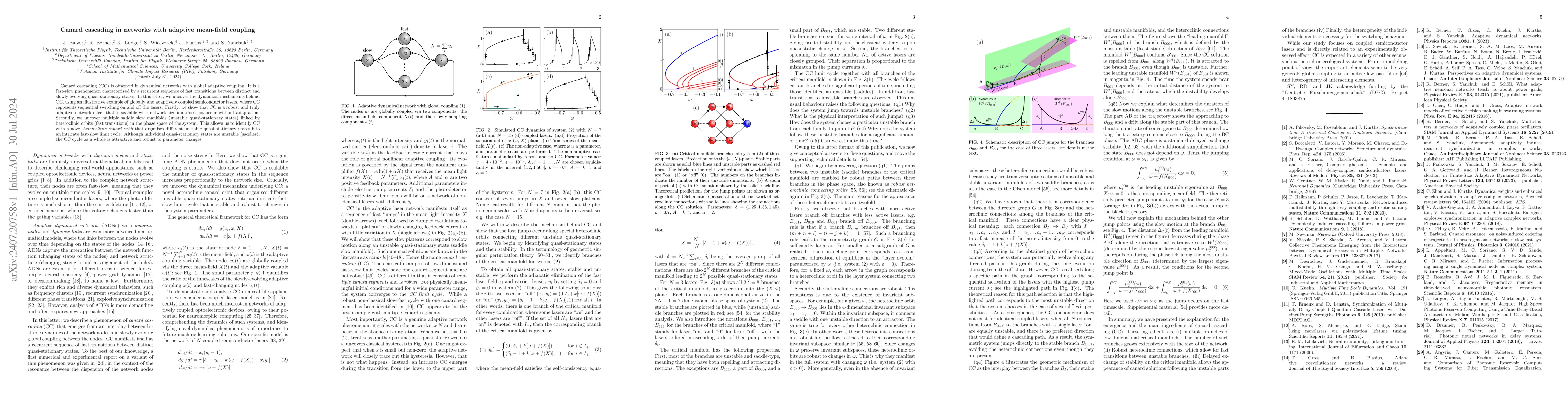 Thumbnail for Canard cascading in networks with adaptive mean-field coupling