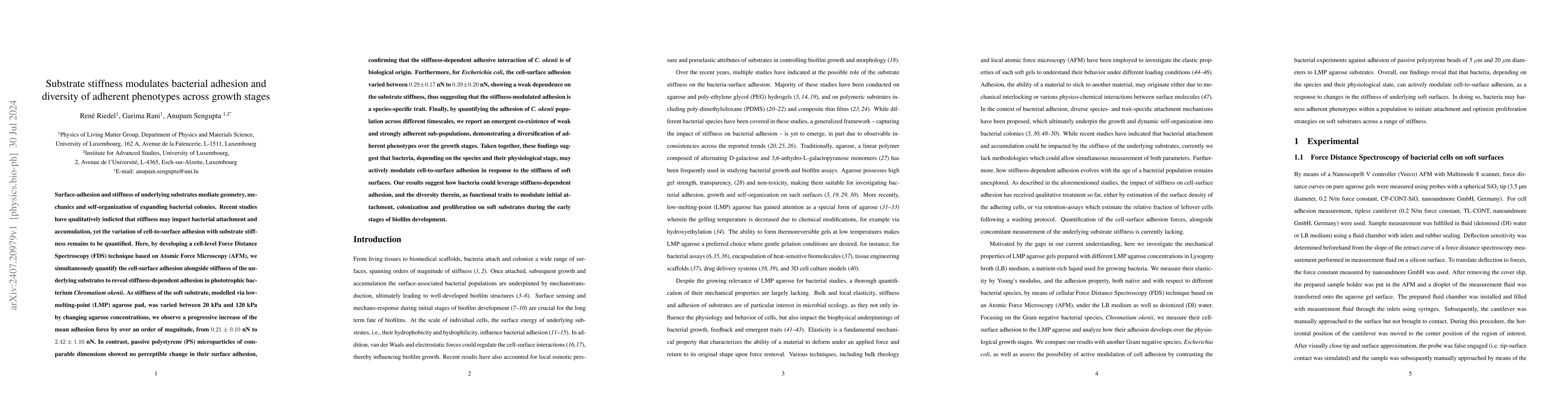 Thumbnail for Substrate stiffness modulates bacterial adhesion and diversity of
  adherent phenotypes across growth stages