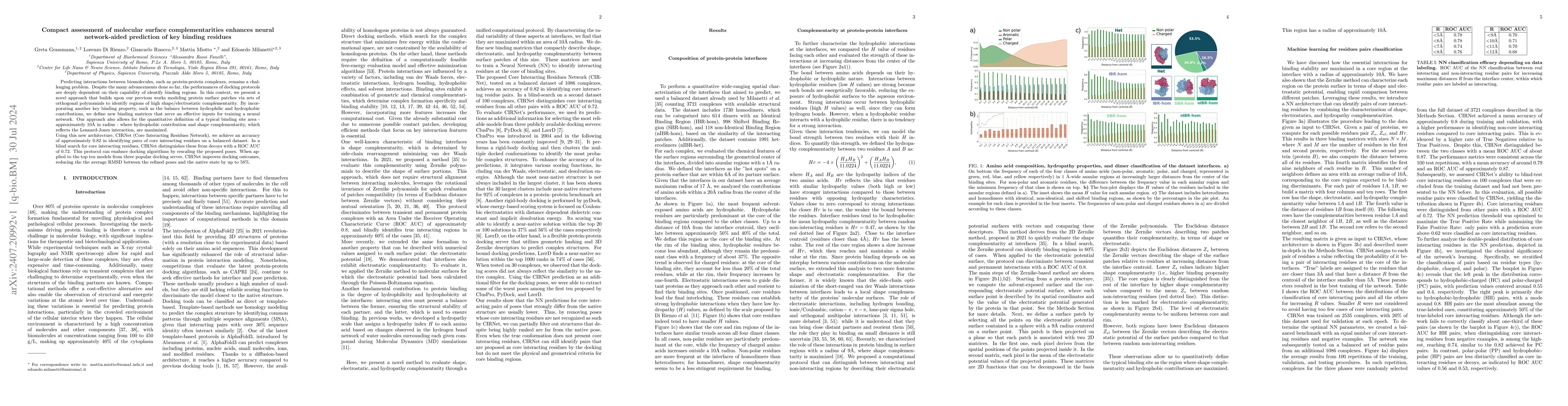 Thumbnail for Compact assessment of molecular surface complementarities enhances
  neural network-aided prediction of key binding residues