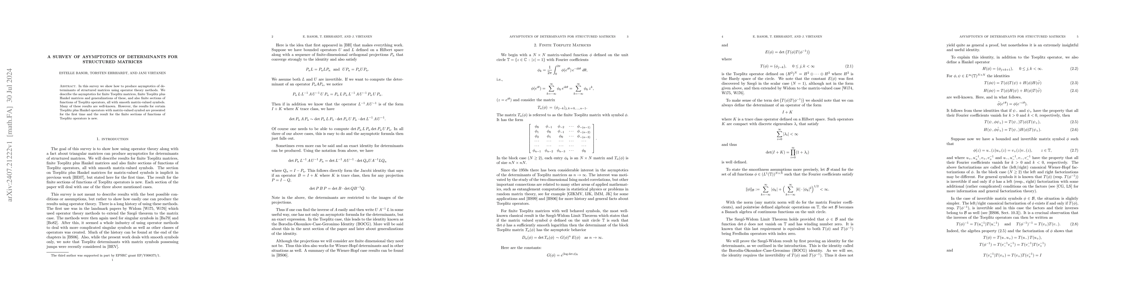 Thumbnail for A survey of asymptotics of determinants for structured matrices