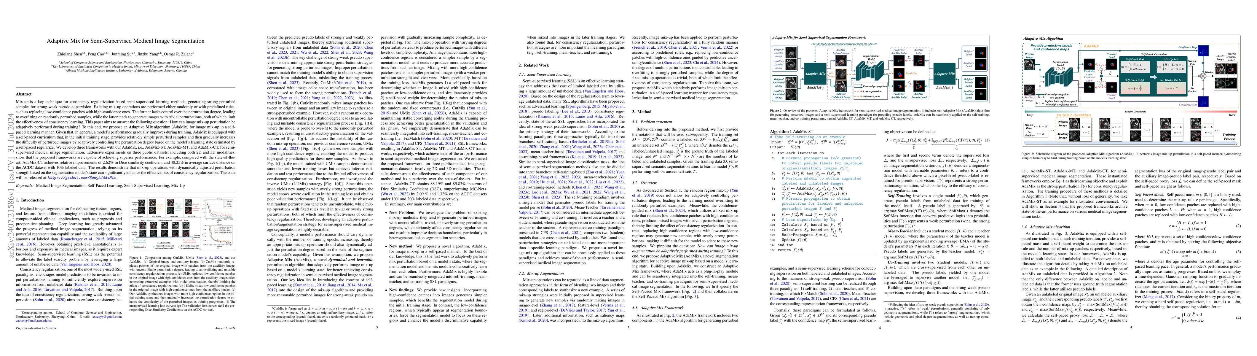 Thumbnail for Adaptive Mix for Semi-Supervised Medical Image Segmentation