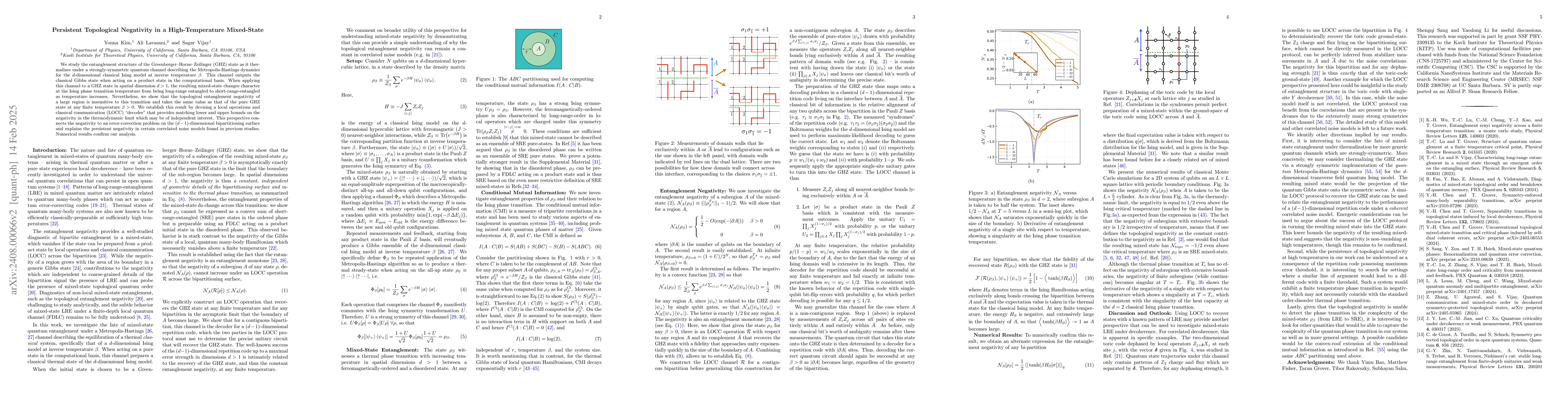 Thumbnail for Persistent Topological Negativity in a High-Temperature Mixed-State