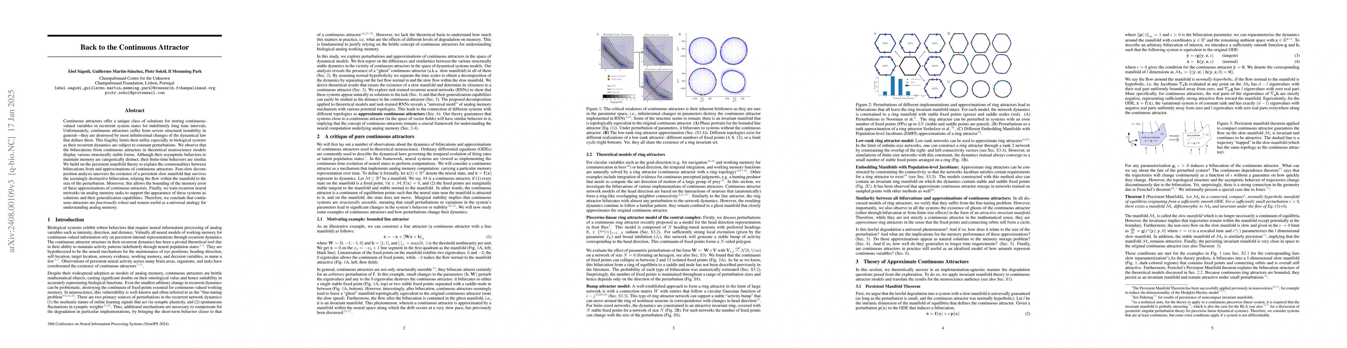 Thumbnail for Back to the Continuous Attractor
