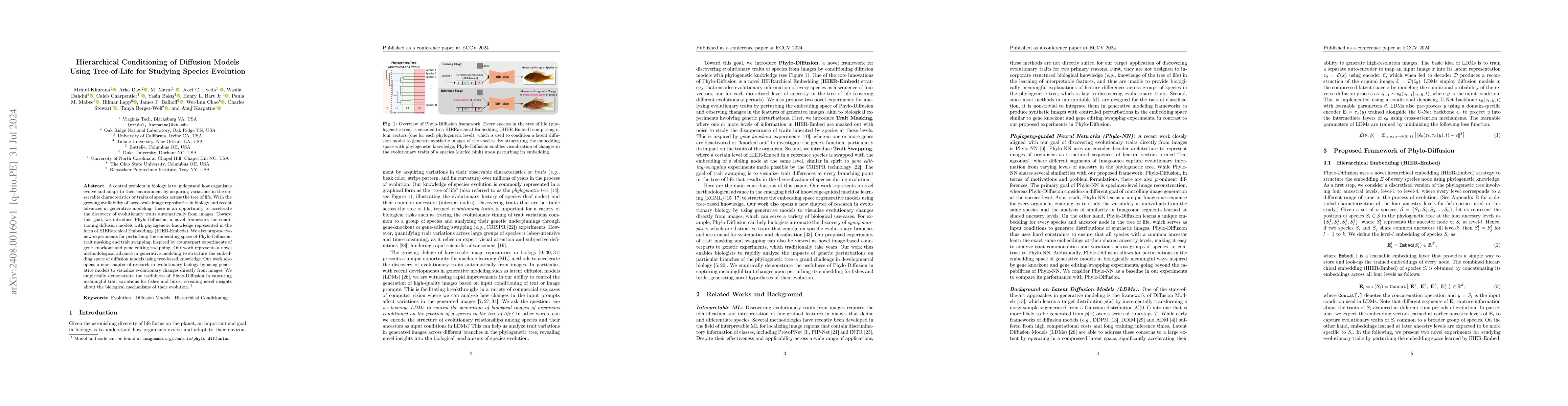 Thumbnail for Hierarchical Conditioning of Diffusion Models Using Tree-of-Life for
  Studying Species Evolution