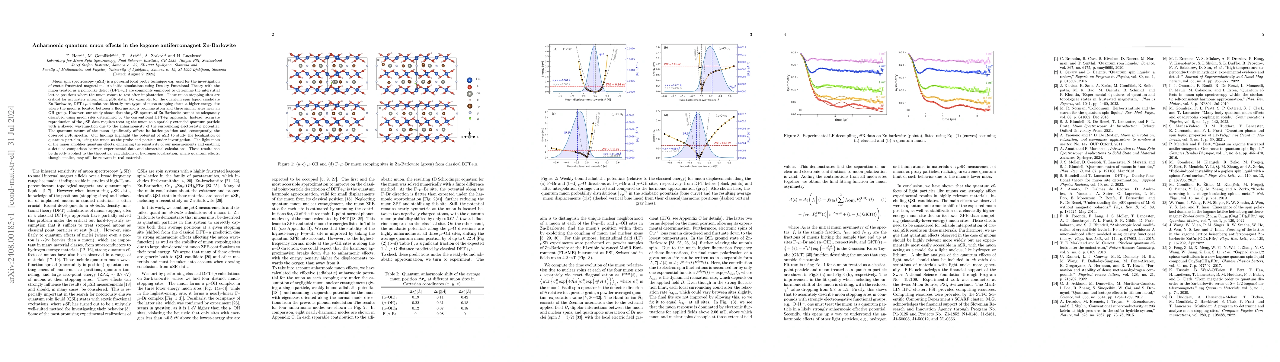 Thumbnail for Anharmonic quantum muon effects in the kagome antiferromagnet
  Zn-Barlowite