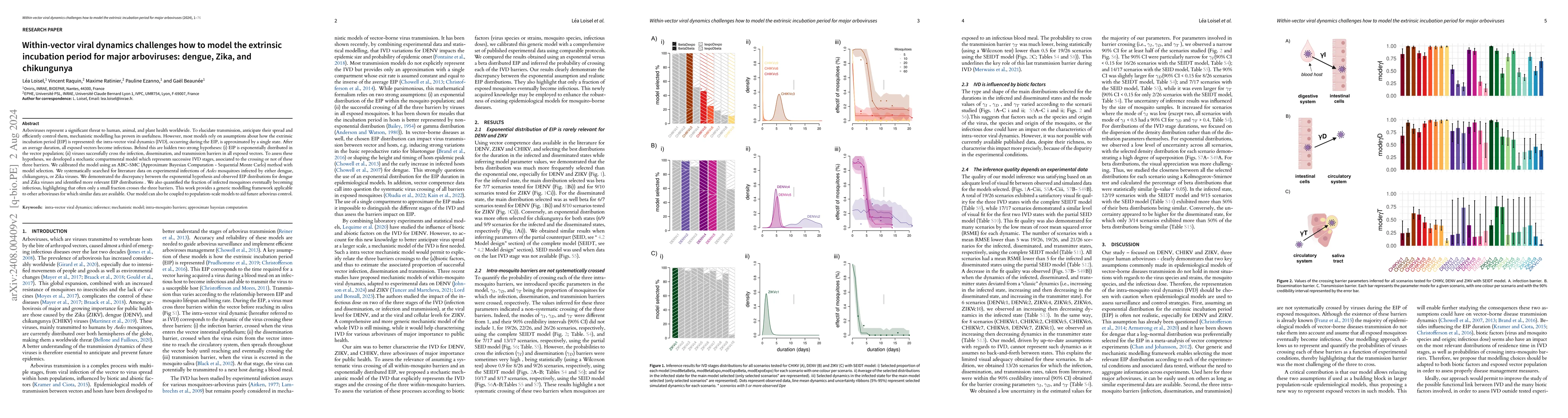 Thumbnail for Within-vector viral dynamics challenges how to model the extrinsic
  incubation period for major arboviruses: dengue, Zika, and chikungunya