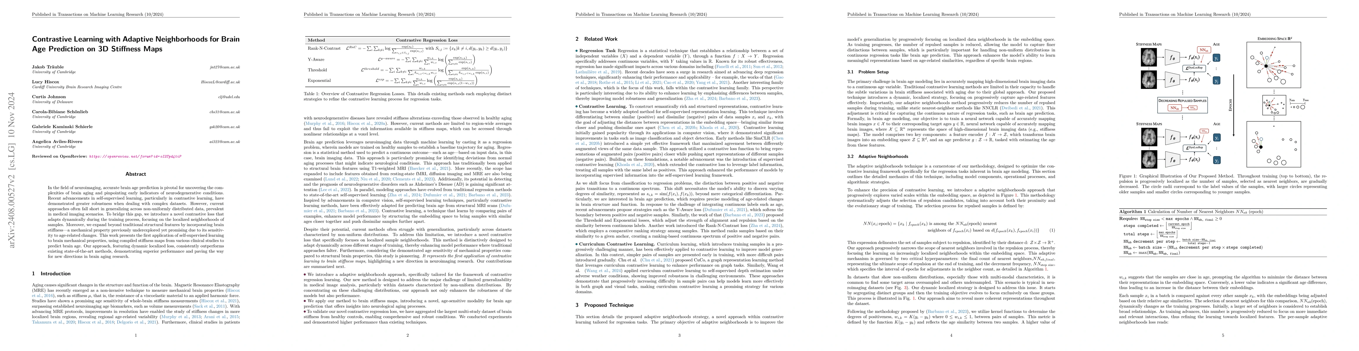 Thumbnail for Contrastive Learning with Dynamic Localized Repulsion for Brain Age
  Prediction on 3D Stiffness Maps
