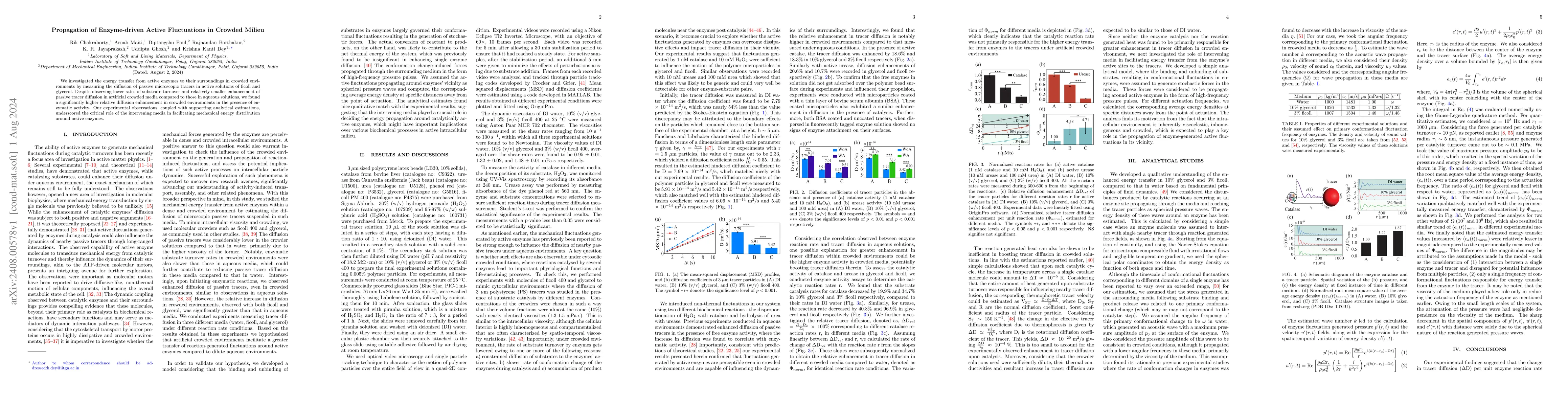 Thumbnail for Propagation of Enzyme-driven Active Fluctuations in Crowded Milieu