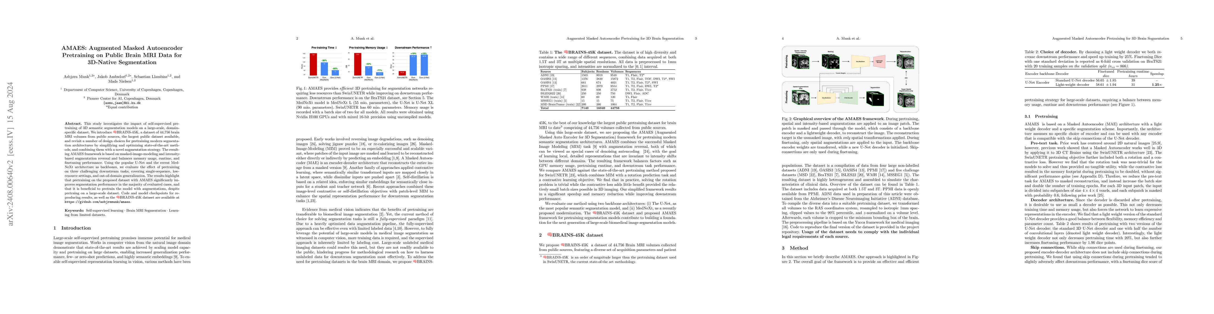 Thumbnail for AMAES: Augmented Masked Autoencoder Pretraining on Public Brain MRI Data
  for 3D-Native Segmentation