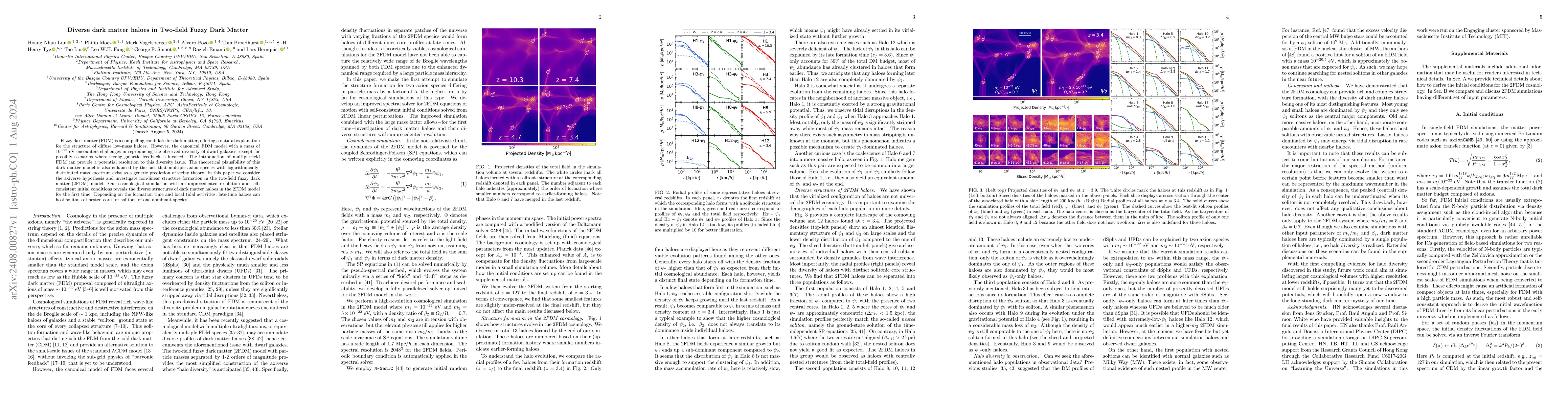 Thumbnail for Diverse dark matter haloes in Two-field Fuzzy Dark Matter
