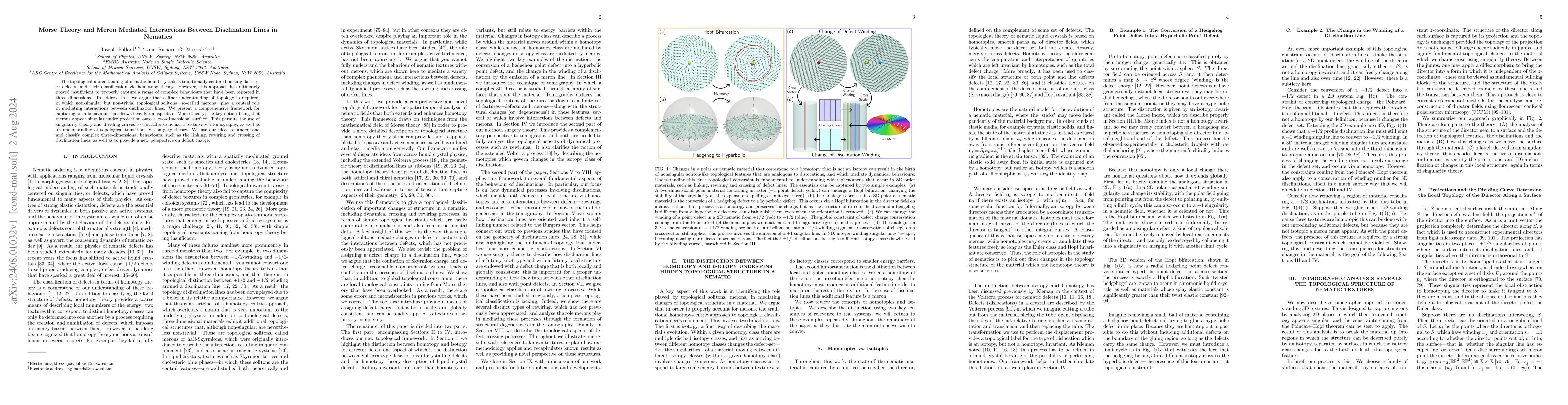 Thumbnail for Morse Theory and Meron Mediated Interactions Between Disclination Lines
  in Nematics