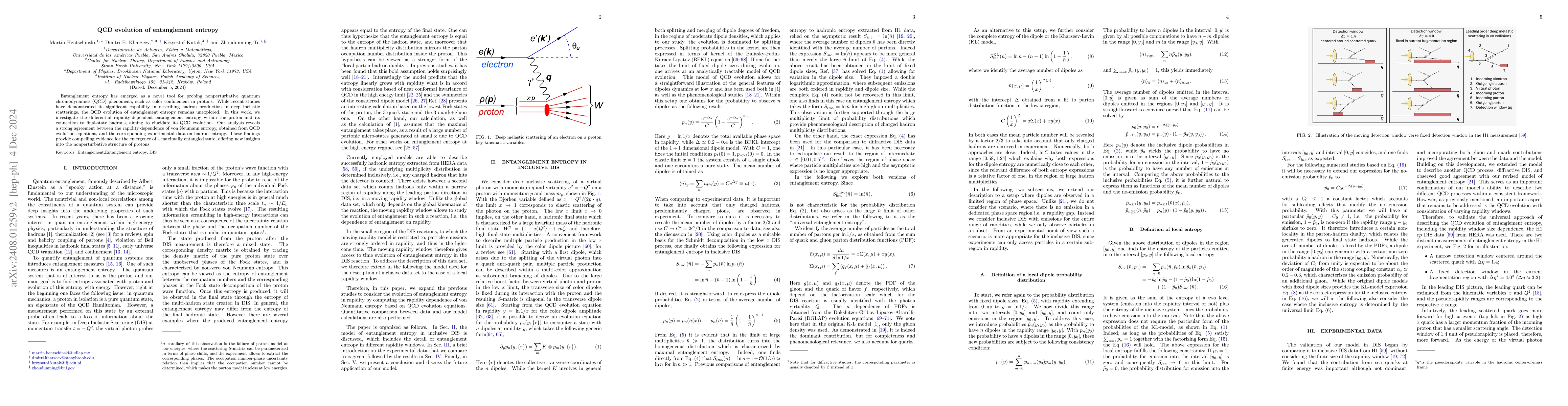Thumbnail for QCD evolution of entanglement entropy