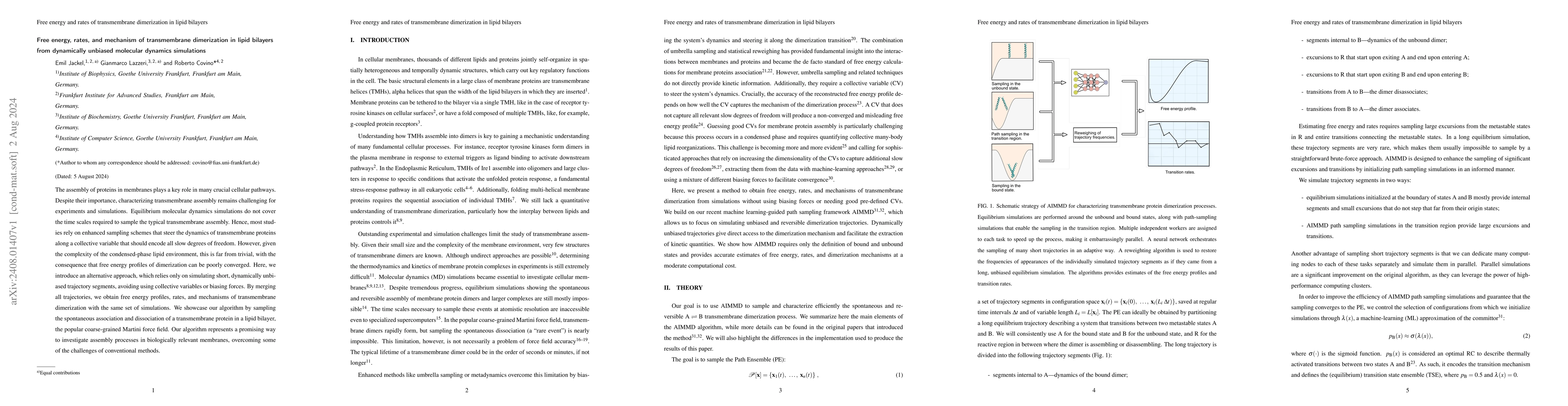 Thumbnail for Free energy, rates, and mechanism of transmembrane dimerization in lipid
  bilayers from dynamically unbiased molecular dynamics simulations
