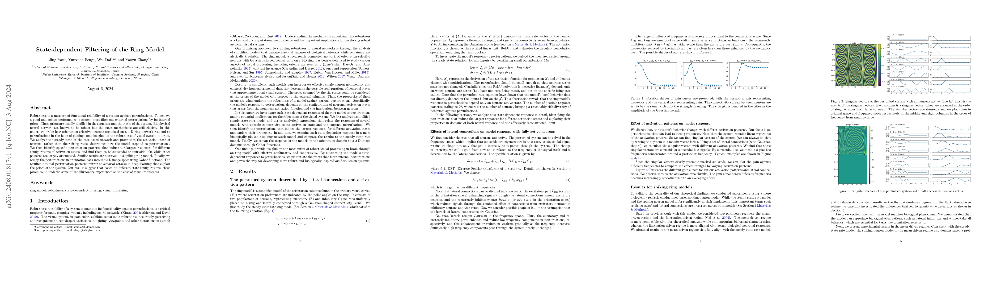 Thumbnail for State-dependent Filtering of the Ring Model