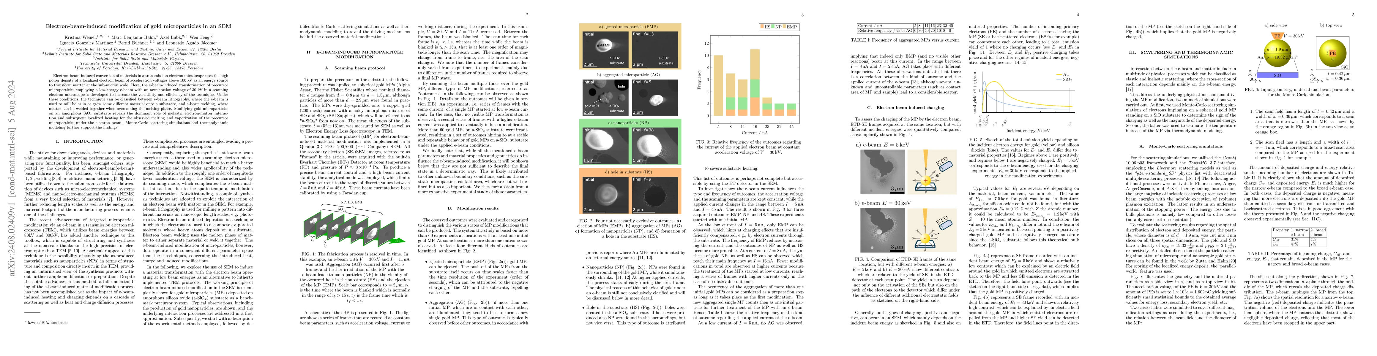 Thumbnail for Electron-beam-induced modification of gold microparticles in an SEM