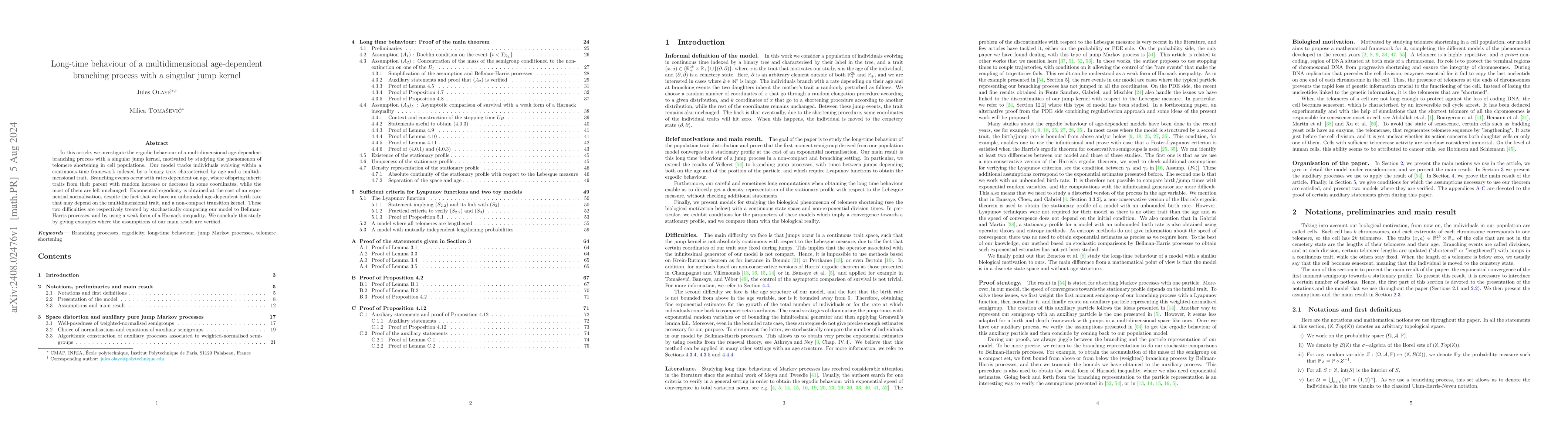 Thumbnail for Long-time behaviour of a multidimensional age-dependent branching
  process with a singular jump kernel