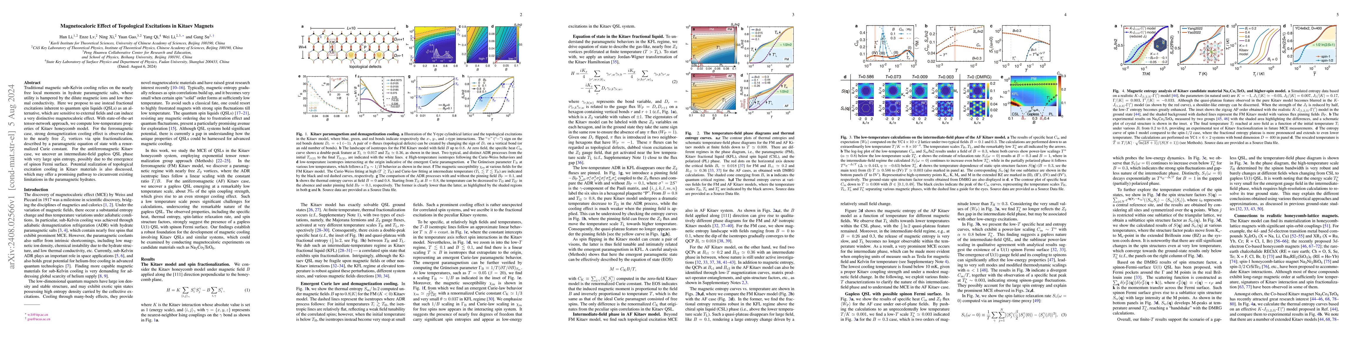 Thumbnail for Magnetocaloric Effect of Topological Excitations in Kitaev Magnets