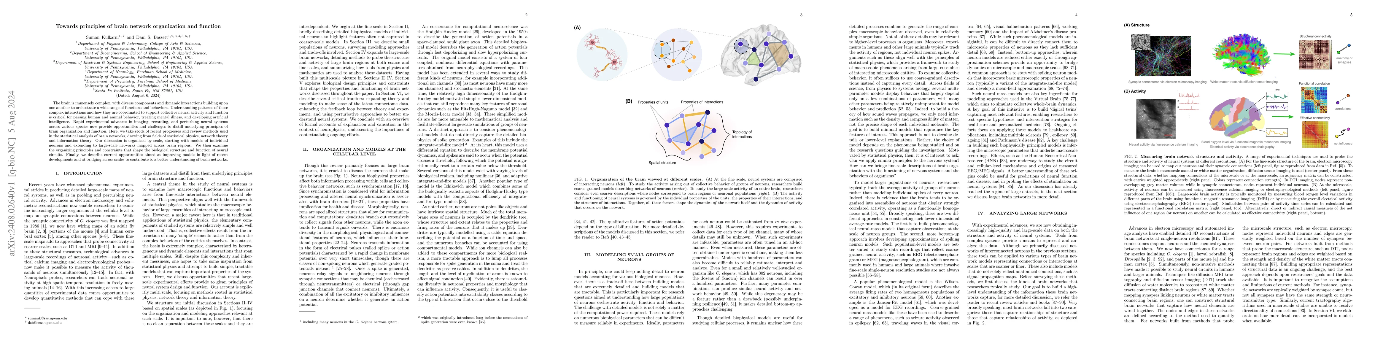 Thumbnail for Towards principles of brain network organization and function