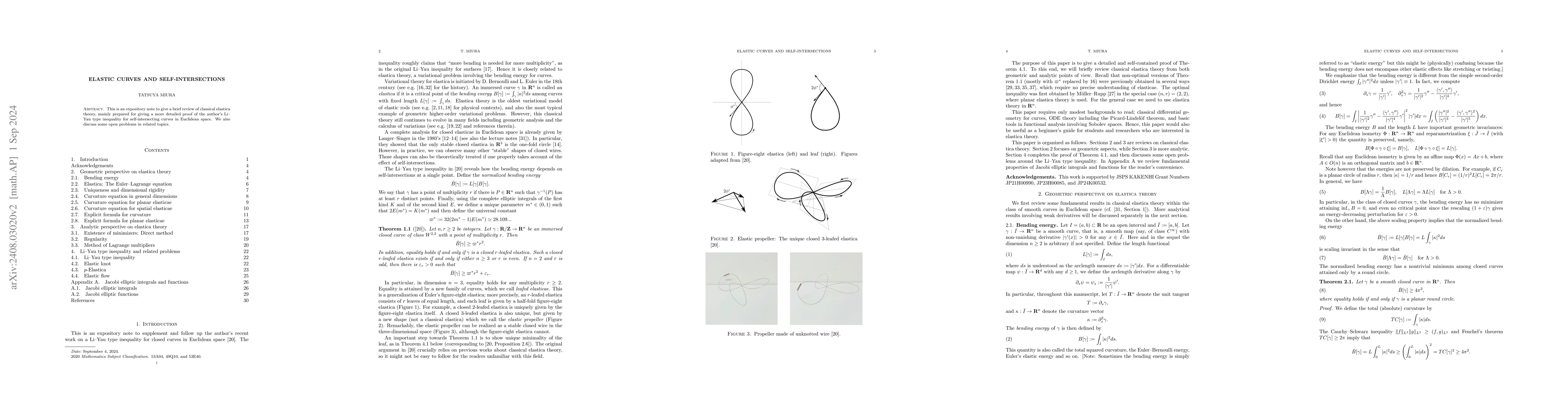 Thumbnail for Elastic curves and self-intersections