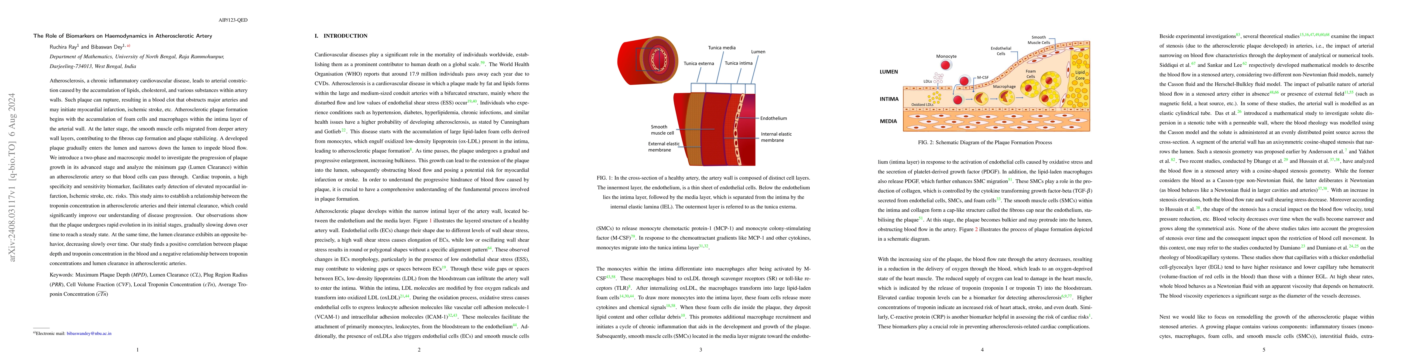 Thumbnail for The Role of Biomarkers on Haemodynamics in Atherosclerotic Artery