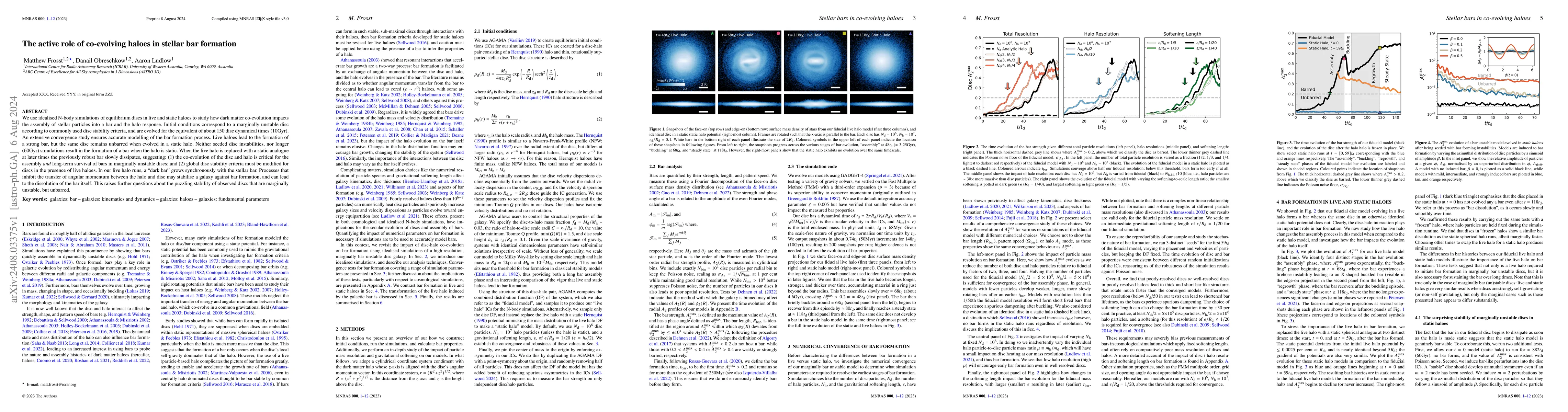 Thumbnail for The active role of co-evolving haloes in stellar bar formation