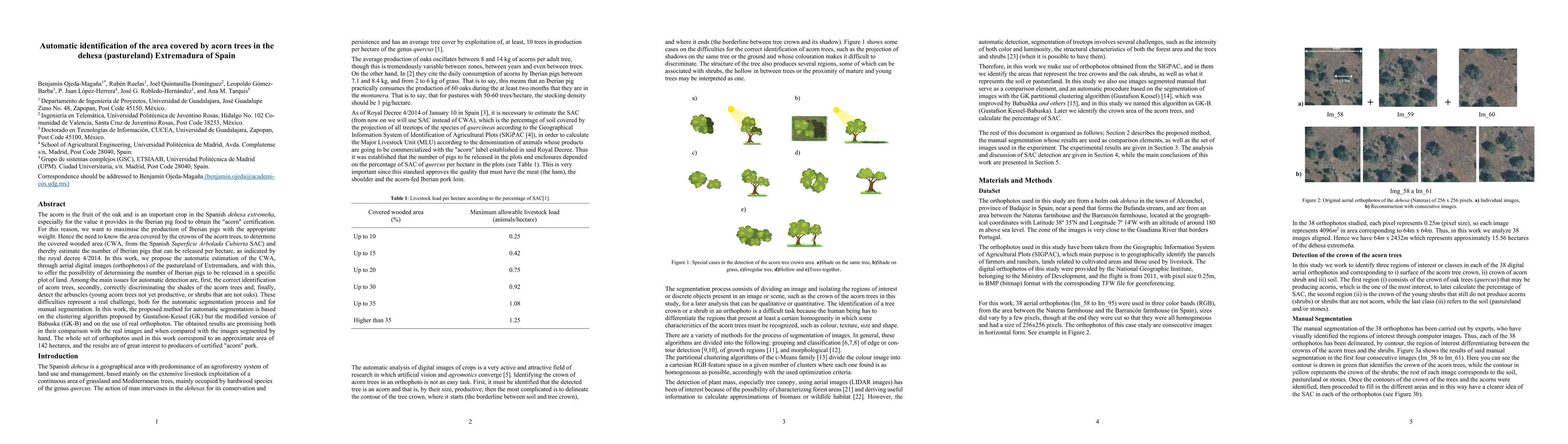 Thumbnail for Automatic identification of the area covered by acorn trees in the
  dehesa (pastureland) Extremadura of Spain