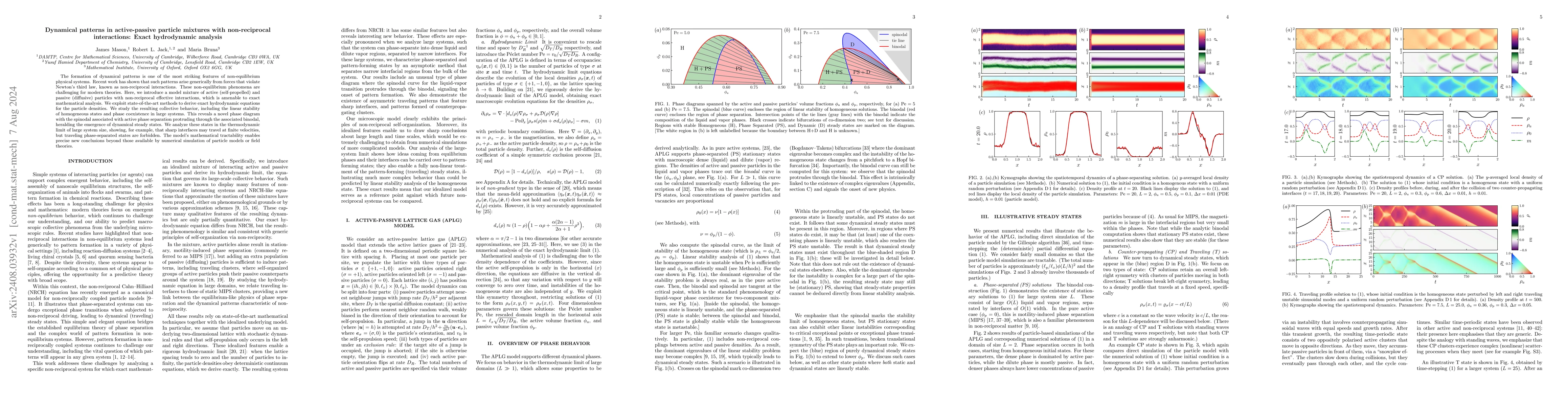 Thumbnail for Dynamical patterns in active-passive particle mixtures with
  non-reciprocal interactions: Exact hydrodynamic analysis