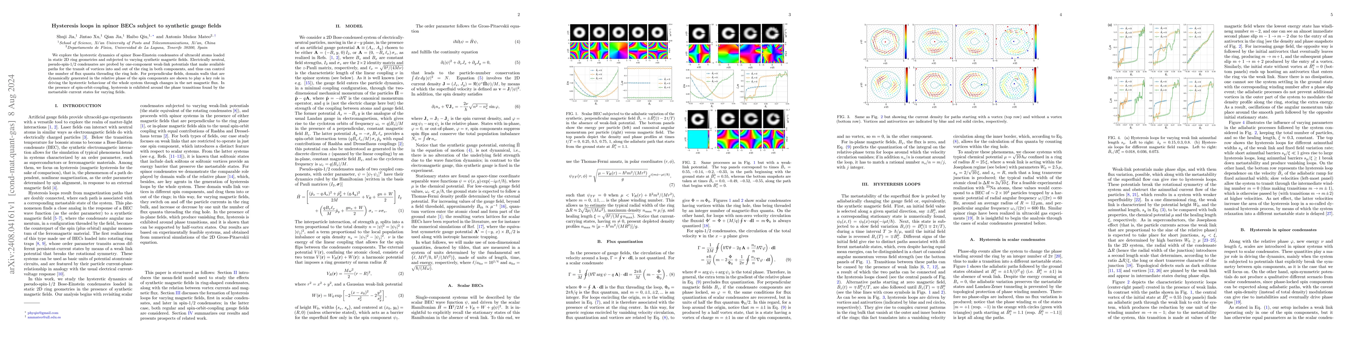 Thumbnail for Hysteresis loops in spinor BECs subject to synthetic gauge fields