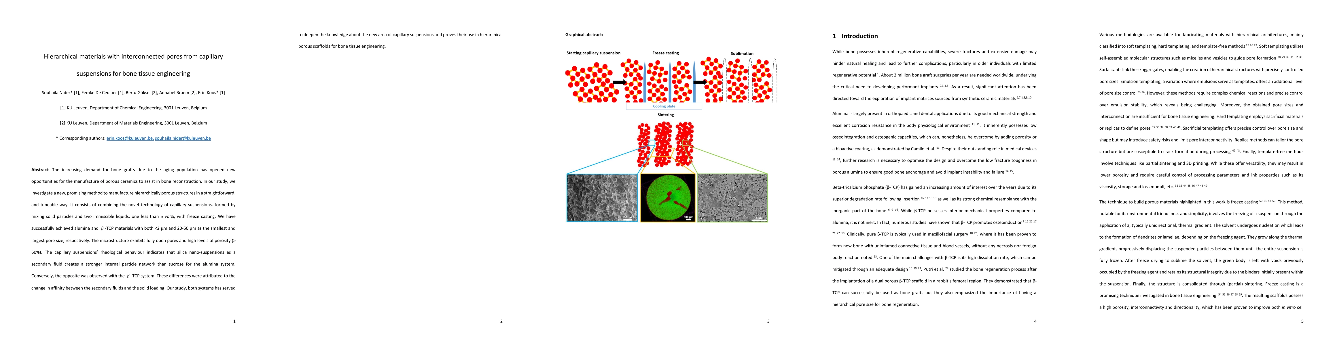 Thumbnail for Hierarchical materials with interconnected pores from capillary
  suspensions for bone tissue engineering