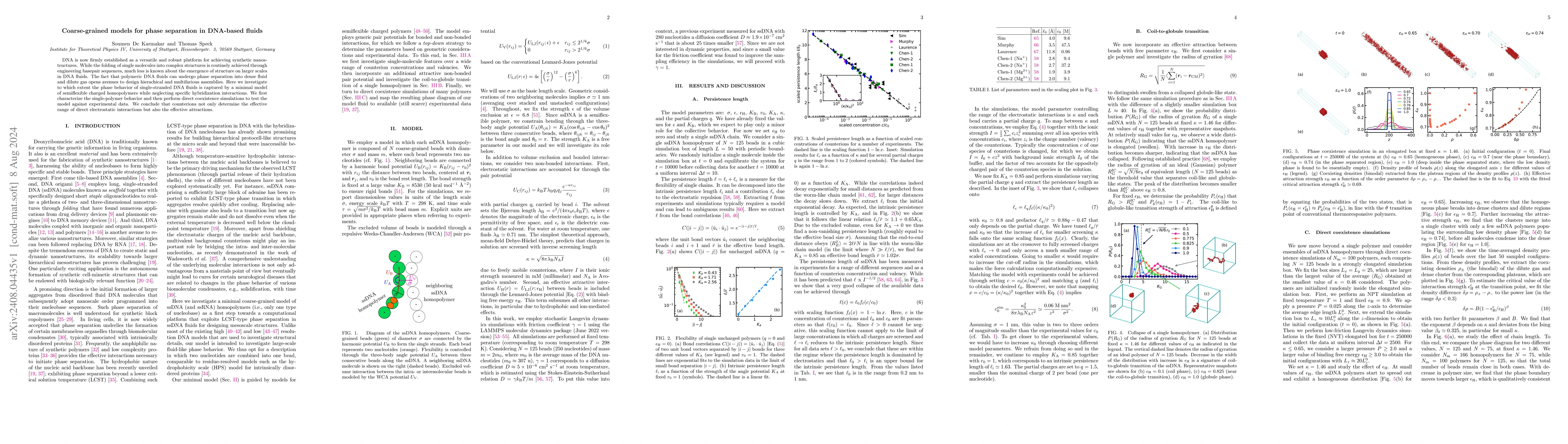 Thumbnail for Coarse-grained models for phase separation in DNA-based fluids