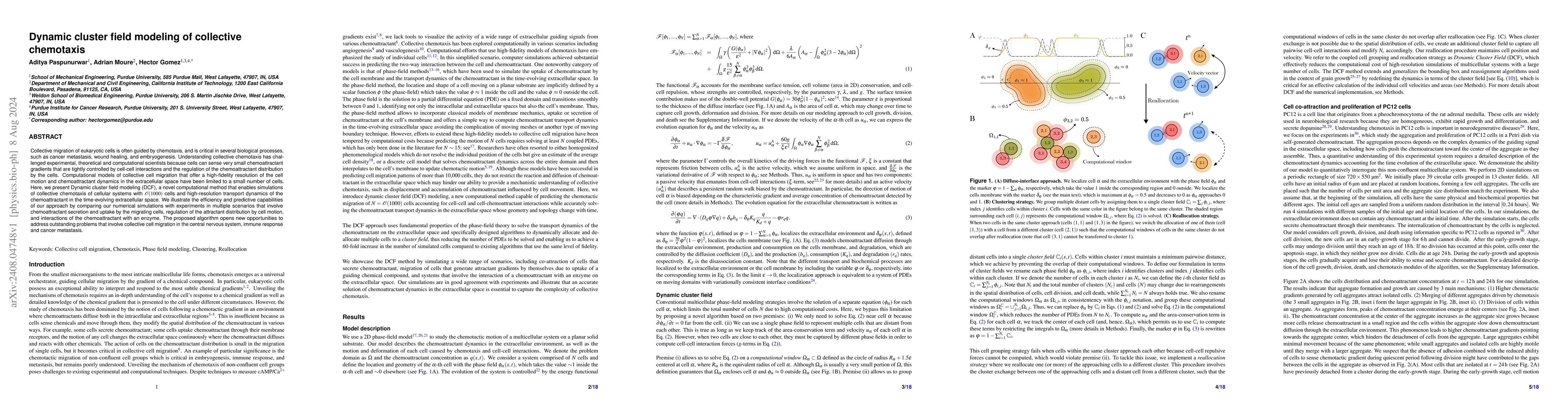 Thumbnail for Dynamic cluster field modeling of collective chemotaxis