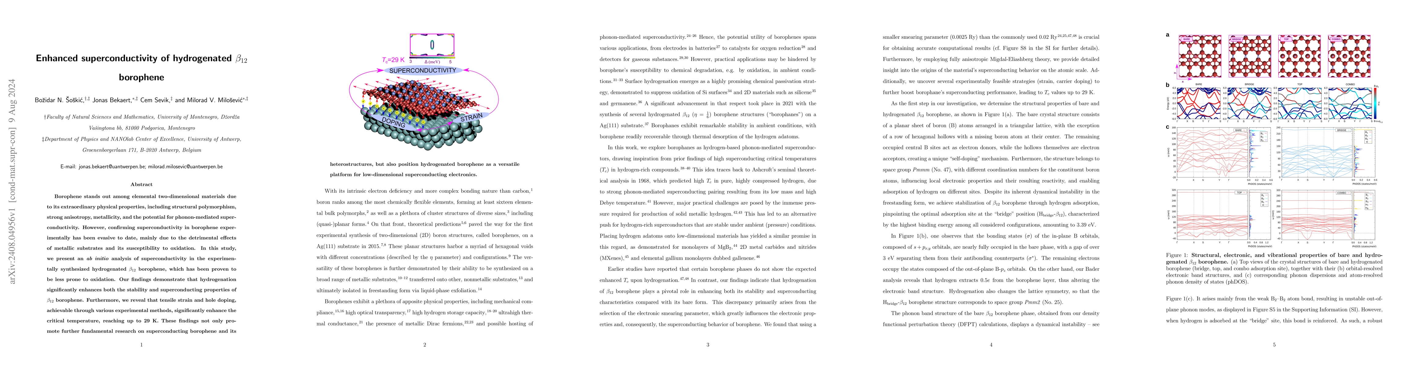 Thumbnail for Enhanced superconductivity of hydrogenated $β_{12}$ borophene