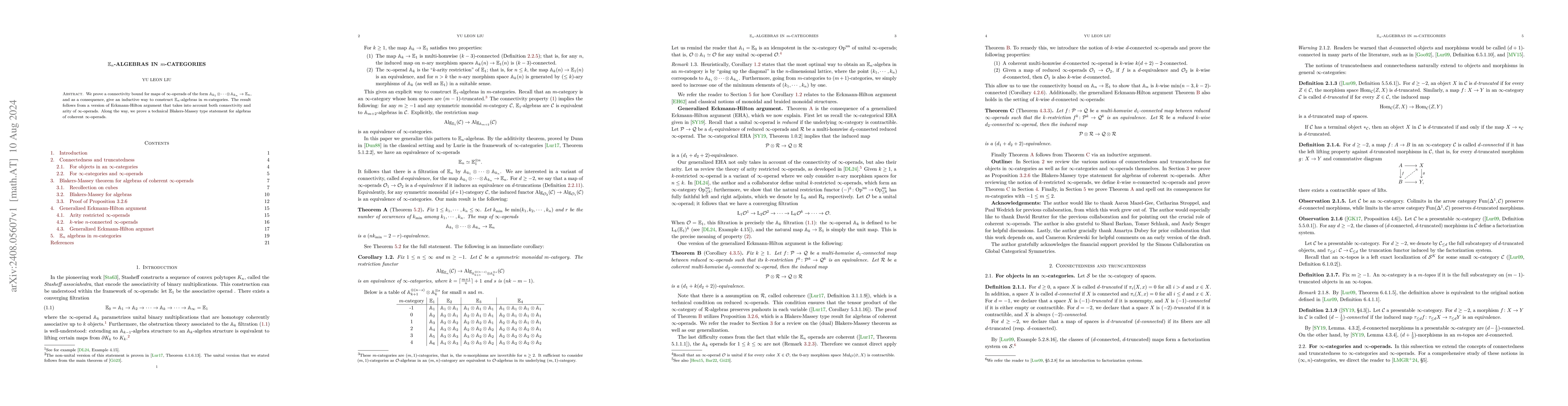 Thumbnail for $\mathbb{E}_n$-algebras in m-categories