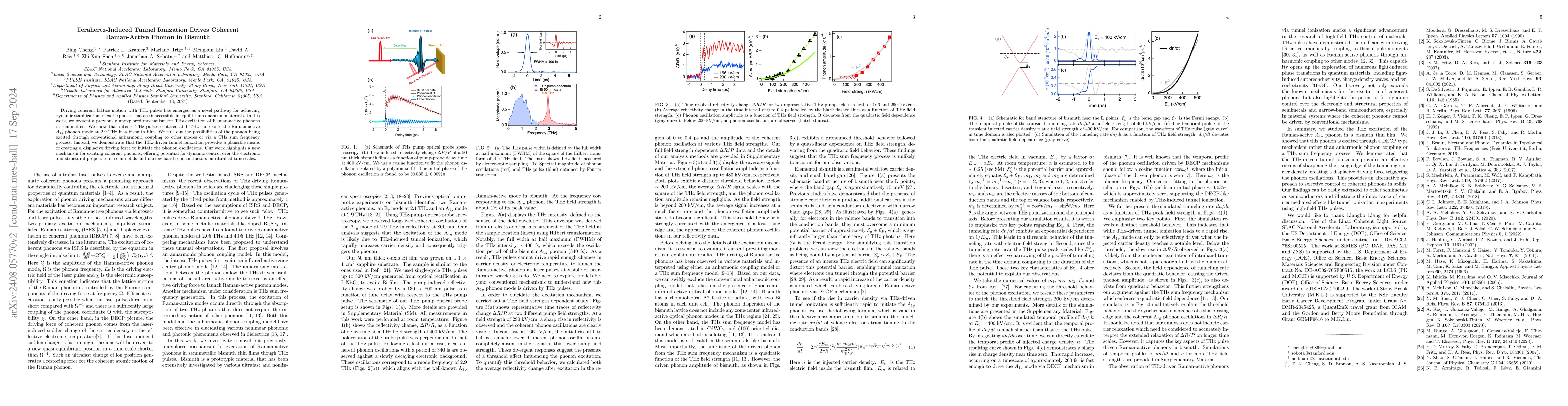 Thumbnail for Terahertz-induced tunnel ionization drives coherent Raman-active phonon
  in Bismuth