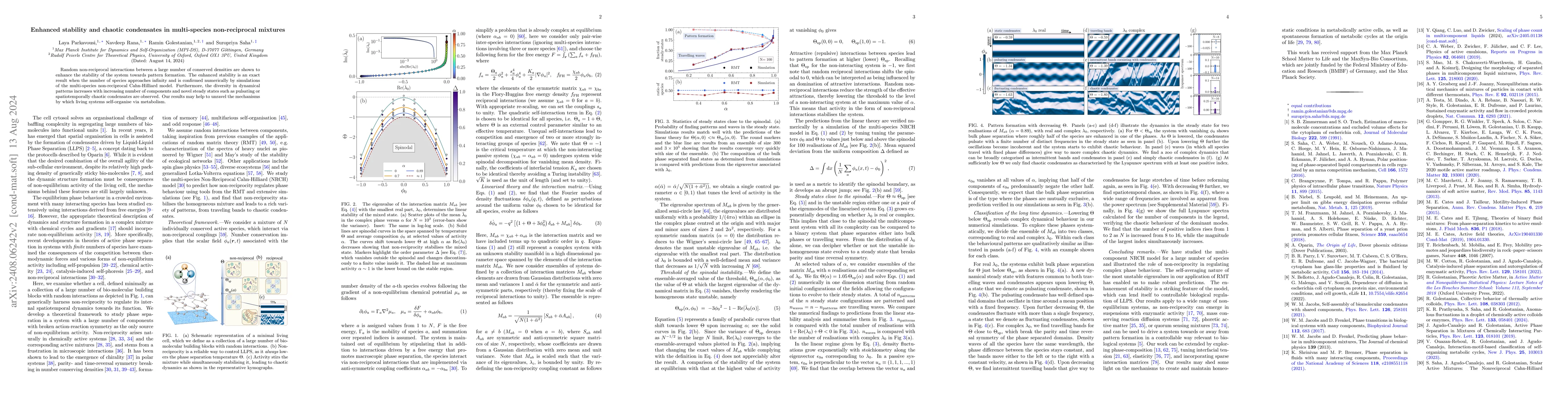 Thumbnail for Enhanced stability and chaotic condensates in multi-species
  non-reciprocal mixtures