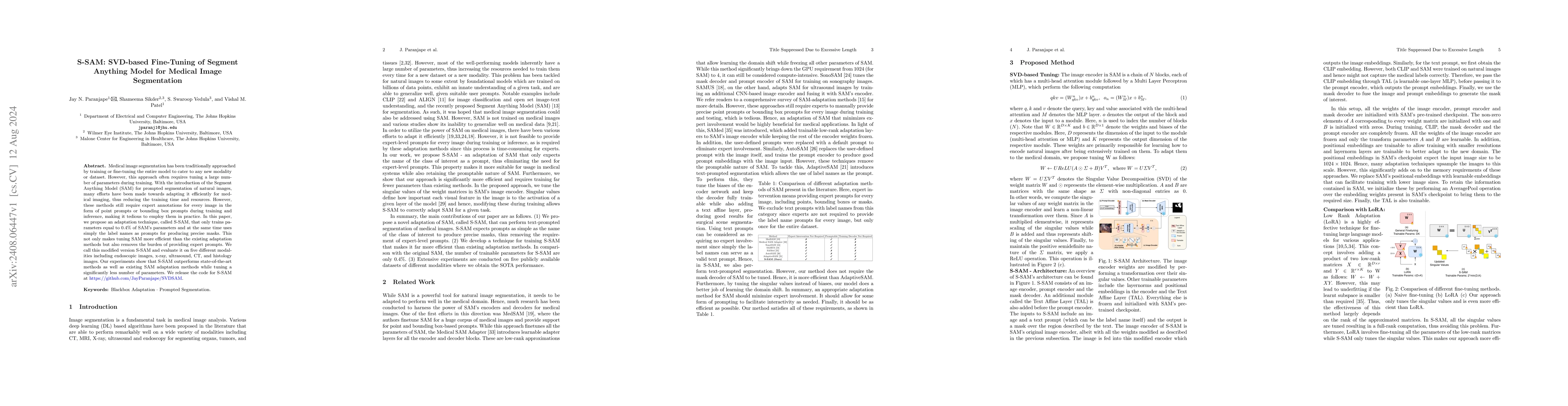 Thumbnail for S-SAM: SVD-based Fine-Tuning of Segment Anything Model for Medical Image
  Segmentation