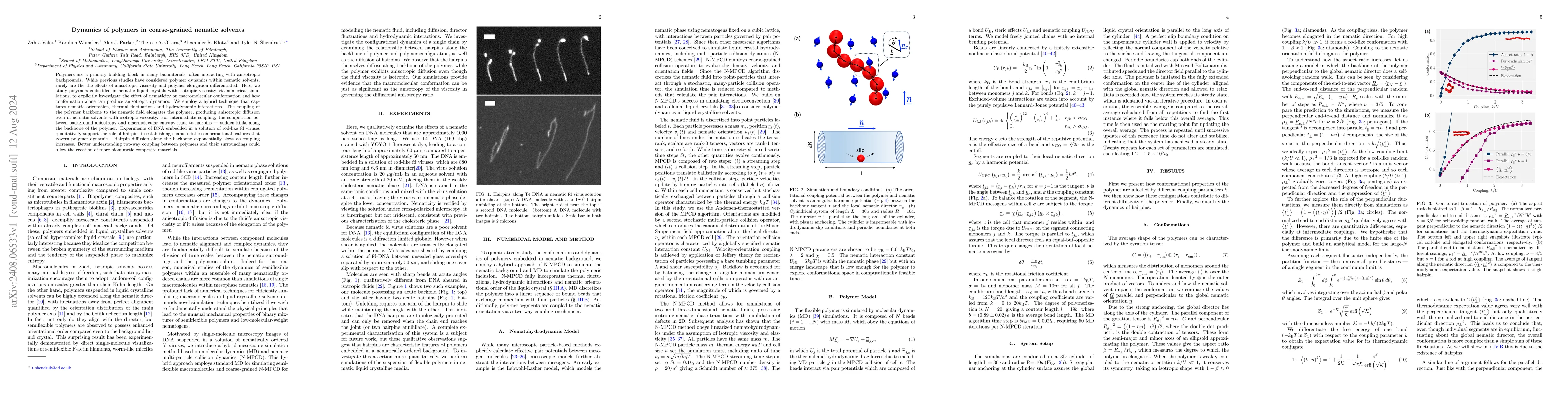 Thumbnail for Dynamics of polymers in coarse-grained nematic solvents