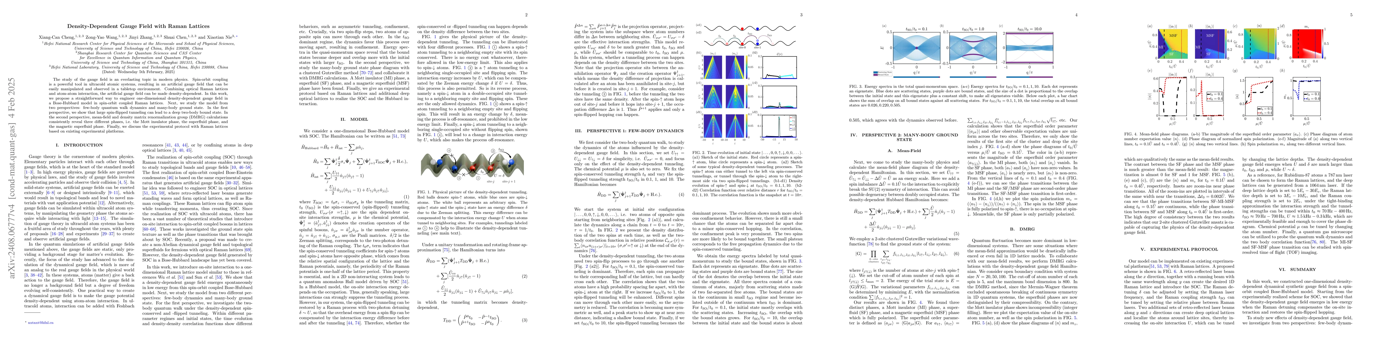 Thumbnail for Density-Dependent Gauge Field with Raman Lattices